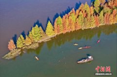 福建福州：湿地公园美如画